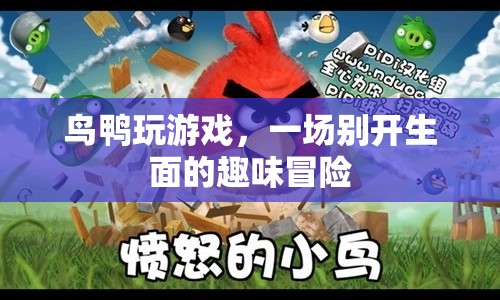鳥(niǎo)鴨的趣味冒險(xiǎn)之旅