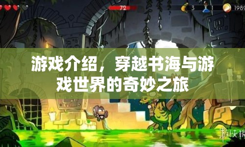 穿越書海與游戲世界的奇妙之旅，一場融合文學與娛樂的冒險之旅