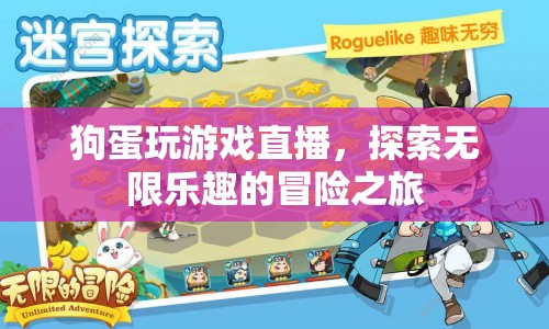 狗蛋游戲直播，探索無(wú)限樂(lè)趣的冒險(xiǎn)之旅