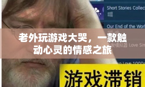 老外游戲情感之旅，觸動心靈的大哭時刻