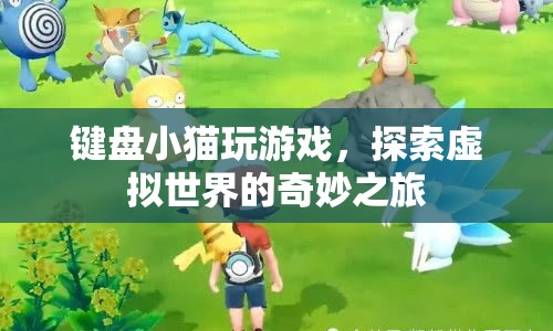 鍵盤小貓的虛擬世界之旅