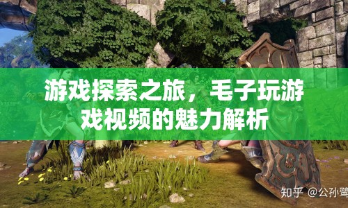 游戲探索之旅，毛子玩游戲視頻的魅力何在？
