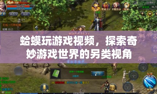 蛤蟆玩游戲，另類視角探索奇妙游戲世界