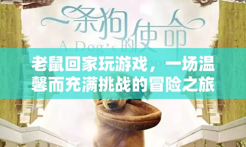 老鼠回家，一場溫馨而充滿挑戰(zhàn)的冒險(xiǎn)之旅