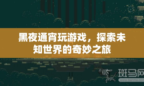 探索未知世界的奇妙之旅，黑夜通宵玩游戲