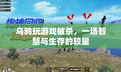 烏鴉因玩游戲被獵殺，智慧與生存的較量
