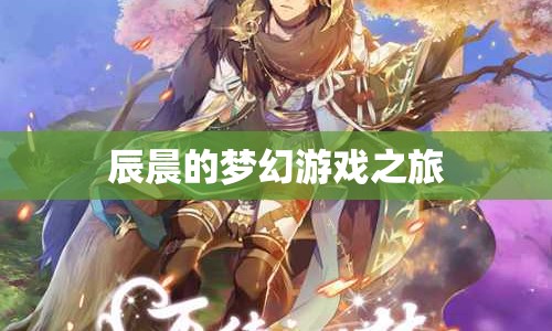 辰晨的夢幻游戲之旅，探索未知，挑戰(zhàn)自我