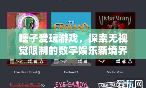 無視覺限制，瞎子愛玩游戲，探索數(shù)字娛樂新境界