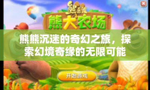熊熊的奇幻之旅，探索幻境奇緣的無限可能