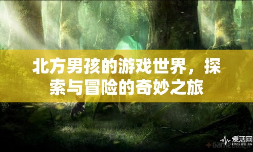 北方男孩的奇妙冒險之旅