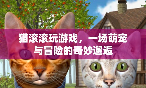 萌寵冒險(xiǎn)記，貓滾滾的奇妙游戲之旅