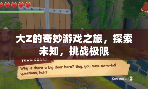大Z的奇妙冒險，探索未知，挑戰(zhàn)游戲極限之旅