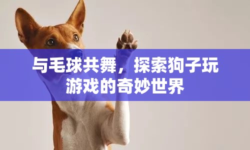 探索狗狗與毛球共舞的奇妙世界