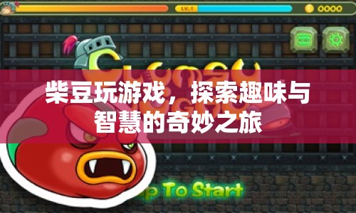 柴豆的奇妙游戲之旅，探索趣味與智慧的融合
