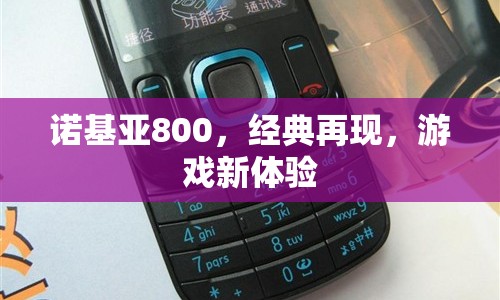 諾基亞800，經(jīng)典再現(xiàn)，游戲新體驗(yàn)