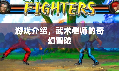 武術老師的奇幻冒險之旅