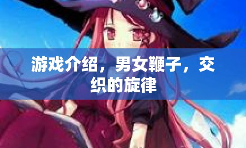 男女鞭子交織的旋律，游戲介紹