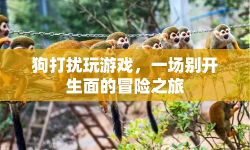 狗打擾玩游戲，開啟一場別開生面的冒險之旅