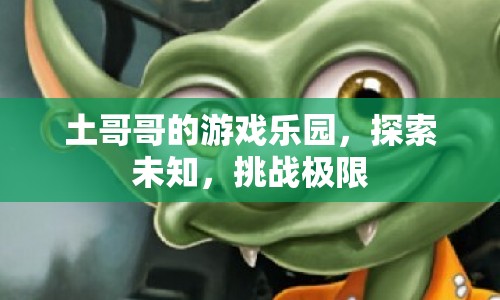 土哥哥的游戲樂園，探索未知，挑戰(zhàn)極限