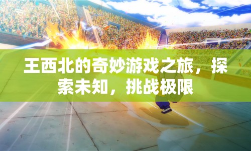 王西北的奇妙冒險，探索未知，挑戰(zhàn)極限