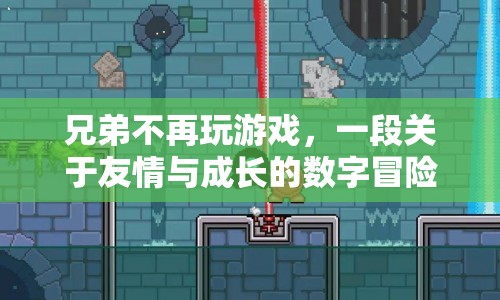 兄弟間的數(shù)字冒險，友情與成長的交響曲
