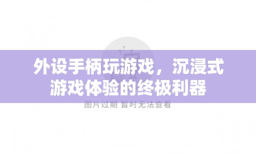 沉浸式游戲體驗的終極利器，外設手柄