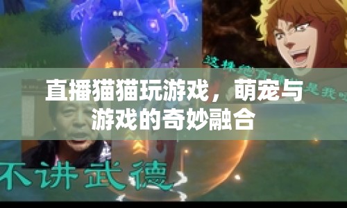 萌寵游戲直播，貓貓玩轉(zhuǎn)游戲，萌寵與游戲的奇妙融合