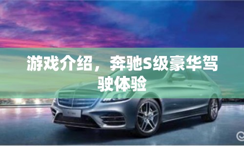 奔馳S級豪華駕駛體驗，游戲介紹