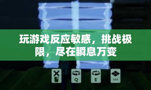 挑戰(zhàn)極限，瞬息萬變，游戲反應(yīng)力大挑戰(zhàn)
