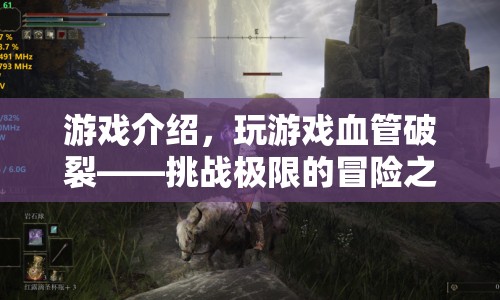 挑戰(zhàn)極限的冒險之旅，玩游戲血管破裂