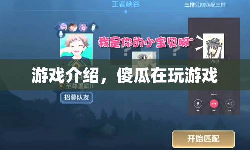 傻瓜在玩游戲，一款令人捧腹的趣味游戲
