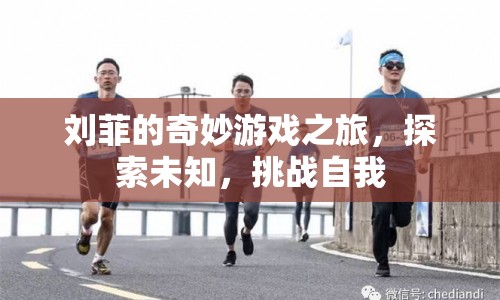 劉菲的奇妙冒險(xiǎn)，探索未知，挑戰(zhàn)自我