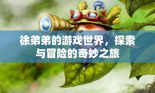 徐弟弟的游戲世界，探索與冒險(xiǎn)的奇妙之旅