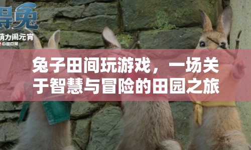 兔子田間冒險(xiǎn)記，智慧與冒險(xiǎn)的田園之旅