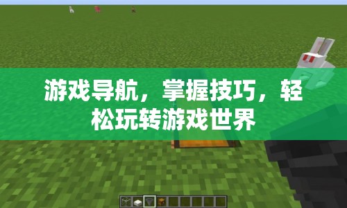 掌握游戲?qū)Ш郊记?，輕松玩轉(zhuǎn)游戲世界