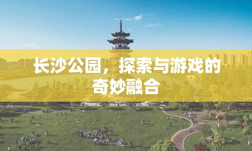 長(zhǎng)沙公園，探索與游戲的奇妙融合之地