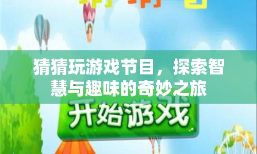 探索智慧與趣味，猜猜玩游戲節(jié)目奇妙之旅
