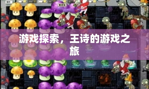 王詩的游戲探索之旅
