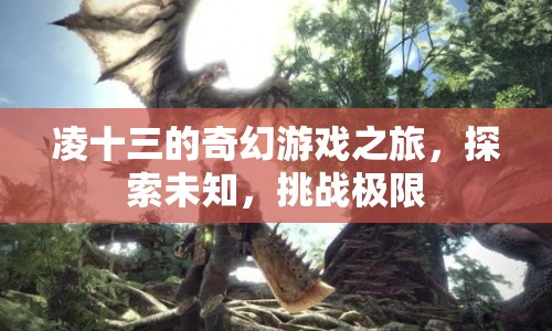 凌十三的奇幻冒險，探索未知，挑戰(zhàn)極限之旅