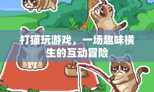 打貓玩游戲，趣味橫生的互動冒險