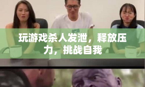 游戲，殺人發(fā)泄，挑戰(zhàn)自我，釋放壓力