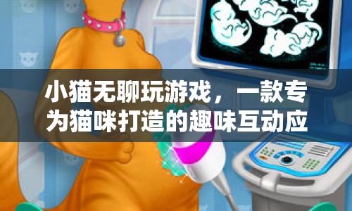 貓咪專屬游戲應(yīng)用，小貓無聊玩游戲  第1張