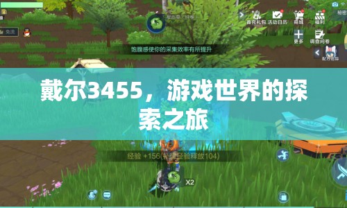 戴爾3455，游戲世界的探索之旅