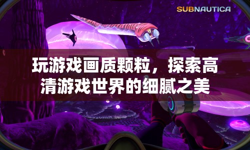 探索高清游戲世界的細(xì)膩之美，游戲畫質(zhì)顆粒解析