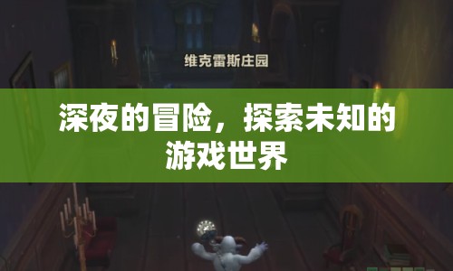 深夜冒險(xiǎn)，探索未知的游戲世界之旅