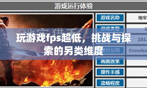挑戰(zhàn)極限，探索游戲低FPS下的另類維度