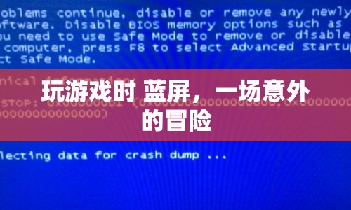 游戲藍屏，一場意外的冒險之旅