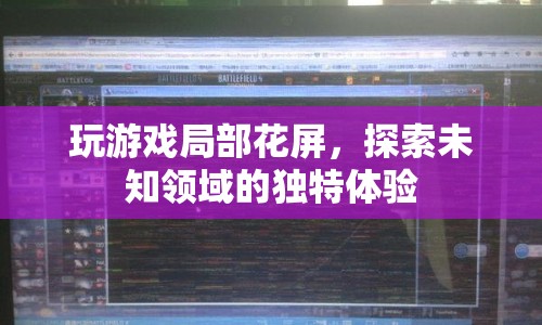 探索未知領(lǐng)域的獨特體驗，玩游戲局部花屏