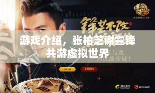 張柏芝謝霆鋒共游虛擬世界，游戲介紹揭秘！