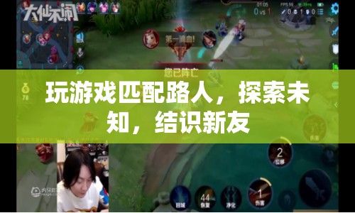 探索未知，結(jié)識(shí)新友，游戲匹配路人的魅力